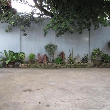 Wregent Plaza Hotel Bohol Exterior photo